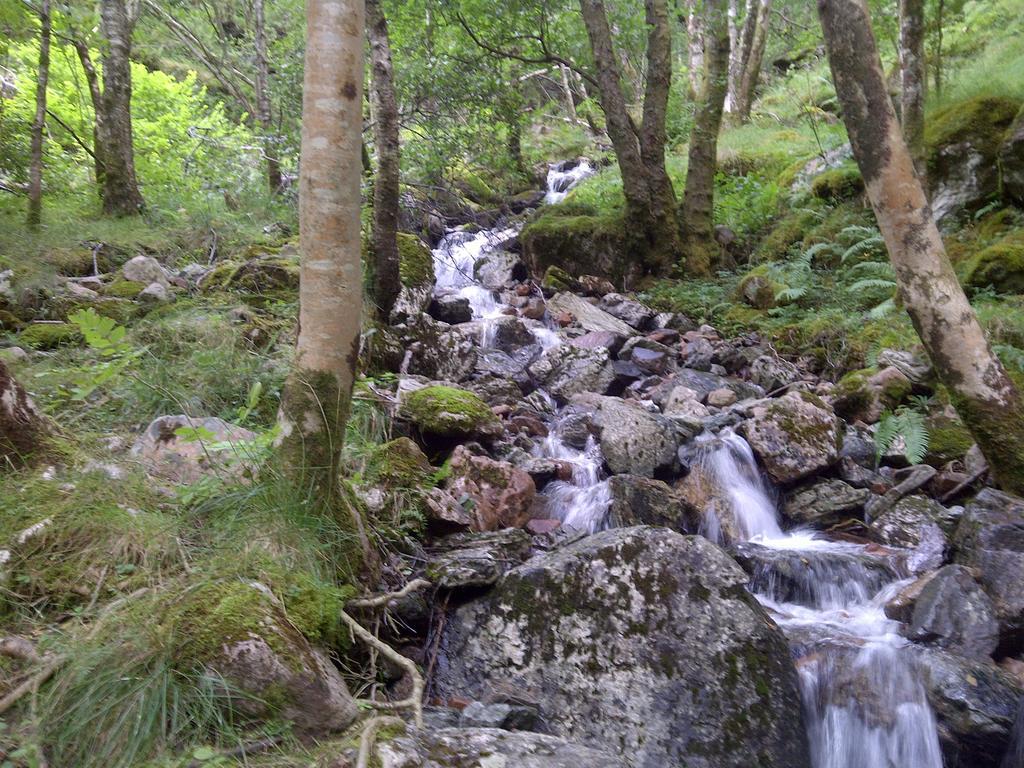 Ardarroch Cottage B&B Fassfern Luaran gambar